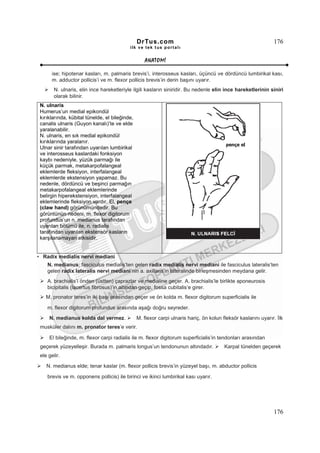 DrTus.com                                                       176
                                           ilk ve tek t us portalı


                                                   ANAT OMĐ

       ise; hipotenar kasları, m. palmaris brevis’i, interosseus kasları, üçüncü ve dördüncü lumbirikal kası,
       m. adductor pollicis’i ve m. flexor pollicis brevis’in derin başını uyarır.
        N. ulnaris, elin ince hareketleriyle ilgili kasların siniridir. Bu nedenle elin ince hareketlerinin siniri
        olarak bilinir.
 N. ulnaris
 Humerus’un medial epikondül
 kırıklarında, kübital tünelde, el bileğinde,
 canalis ulnaris (Guyon kanalı)’te ve elde
 yaralanabilir.
 N. ulnaris, en sık medial epikondül
 kırıklarında yaralanır.
 Ulnar sinir tarafından uyarılan lumbirikal
 ve interosseus kaslardaki fonksiyon
 kaybı nedeniyle, yüzük parmağı ile
 küçük parmak, metakarpofalangeal
 eklemlerde fleksiyon, interfalangeal
 eklemlerde ekstensiyon yapamaz. Bu
 nedenle, dördüncü ve beşinci parmağın
 metakarpofalangeal eklemlerinde
 belirgin hiperekstensiyon, interfalangeal
 eklemlerinde fleksiyon vardır. El, pençe
 (claw hand) görünümündedir. Bu
 görüntünün nedeni, m. flexor digitorum
 profundus’un n. medianus tarafından
 uyarılan bölümü ile, n. radialis
 tarafından uyarılan ekstensör kasların
 karşılanamayan etkisidir.


• Radix medialis nervi mediani
    N. medianus; fasciculus medialis’ten gelen radix medialis nervi mediani ile fasciculus lateralis’ten
    gelen radix lateralis nervi mediani’nin a. axillaris’in lateralinde birleşmesinden meydana gelir.
    A. brachialis’i önden (üstten) çaprazlar ve medialine geçer. A. brachialis’le birlikte aponeurosis
    bicipitalis (lacertus fibrosus)’in altından geçip, fossa cubitalis’e girer.
    M. pronator teres’in iki başı arasından geçer ve ön kolda m. flexor digitorum superficialis ile

    m. flexor digitorum profundus arasında aşağı doğru seyreder.
     N. medianus kolda dal vermez.              M. flexor carpi ulnaris hariç, ön kolun fleksör kaslarını uyarır. Đlk
 musküler dalını m. pronator teres’e verir.

     El bileğinde, m. flexor carpi radialis ile m. flexor digitorum superficialis’in tendonları arasından
 geçerek yüzeyelleşir. Burada m. palmaris longus’un tendonunun altındadır.               Karpal tünelden geçerek
 ele gelir.

    N. medianus elde; tenar kaslar (m. flexor pollicis brevis’in yüzeyel başı, m. abductor pollicis

    brevis ve m. opponens pollicis) ile birinci ve ikinci lumbirikal kası uyarır.




                                                                                                                176
 