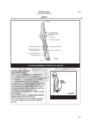 DrTus.com              179
                                       ilk ve tek t us portalı


                                              ANAT OMĐ




Truncus superior lezyonu
(Erb-Duchenne felci)
Pleksusun en yaygın traksiyon yaralanmasıdır.
C5 ve C6 kökleri yırtılır. Bu segmentlerden
kaynaklanan sinirler tarafından uyarılan kaslarda
(m. deltoideus, m. biceps brachii, m. brachialis,
m. coracobrachialis, m. brachioradialis, m.
supraspinatus, m. infraspinatus ve m. teres minor)
fonksiyon kaybı olur. Kolun abdüktör, fleksör ve dış
rotator kasları ile, ön kolun fleksör ve dış rotator
kaslarındaki zayıflık sonucu; ekstremite sarkık, kol
addüksiyonda ve iç rotasyonda, ön kol
pronasyonda ve ekstensiyonda, el bileği bir miktar
fleksiyondadır.
Ekstremitenin pozisyonu, bahşiş isteyen garson
(waiter’s tip) ekstremitesine benzer.
Üst trunkus yaralanması en sık doğum sırasında
olur ve yeni doğanda asimetrik Moro refleksine
yol açar.




                                                                 179
 