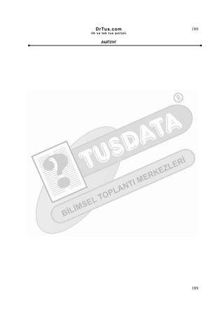 DrTus.com               189
ilk ve tek t us portalı


      ANAT OMĐ




                          189
 