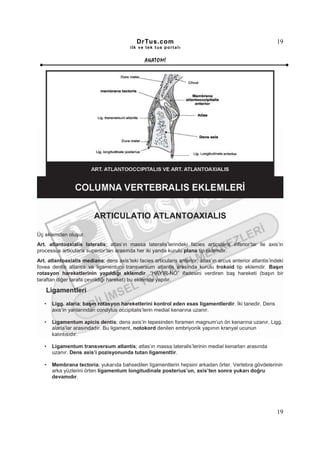 DrTus.com                                                       19
                                          ilk ve tek t us portalı


                                                 ANAT OMĐ




                         ARTICULATIO ATLANTOAXIALIS

Üç eklemden oluşur.
Art. atlantoaxialis lateralis; atlas’ın massa lateralis’lerindeki facies articularis inferior’lar ile axis’in
processus articularis superior’ları arasında her iki yanda kurulu plana tip eklemdir.
Art. atlantoaxialis mediana; dens axis’teki facies articularis anterior, atlas’ın arcus anterior atlantis’indeki
fovea dentis atlantis ve ligamentum transversum atlantis arasında kurulu trokoid tip eklemdir. Başın
rotasyon hareketlerinin yapıldığı eklemdir. “HAYIR-NO” ifadesini verdiren baş hareketi (başın bir
taraftan diğer tarafa çevrildiği hareket) bu eklemde yapılır.

    Ligamentleri
   •   Ligg. alaria; başın rotasyon hareketlerini kontrol eden esas ligamentlerdir. Đki tanedir. Dens
       axis’in yanlarından condylus occipitalis’lerin medial kenarına uzanır.

   •   Ligamentum apicis dentis; dens axis’in tepesinden foramen magnum’un ön kenarına uzanır. Ligg.
       alaria’lar arasındadır. Bu ligament, notokord denilen embriyonik yapının kranyal ucunun
       kalıntısıdır.

   •   Ligamentum transversum atlantis; atlas’ın massa lateralis’lerinin medial kenarları arasında
       uzanır. Dens axis’i pozisyonunda tutan ligamenttir.

   •   Membrana tectoria; yukarıda bahsedilen ligamentlerin hepsini arkadan örter. Vertebra gövdelerinin
       arka yüzlerini örten ligamentum longitudinale posterius’un, axis’ten sonra yukarı doğru
       devamıdır.




                                                                                                             19
 