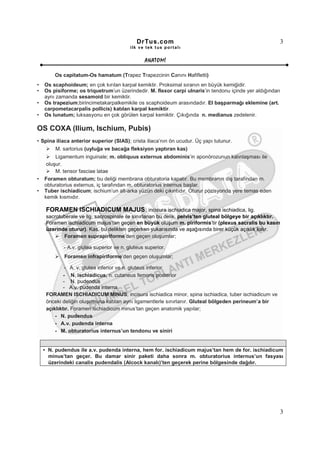 DrTus.com                                                     3
                                          ilk ve tek t us portalı


                                                ANAT OMĐ

        Os capitatum-Os hamatum (Trapez Trapezcinin Canını Hafifletti)
•   Os scaphoideum; en çok kırılan karpal kemiktir. Proksimal sıranın en büyük kemiğidir.
•   Os pisiforme; os triquetrum’un üzerindedir. M. flexor carpi ulnaris’in tendonu içinde yer aldığından
    aynı zamanda sesamoid bir kemiktir.
•   Os trapezium;birincimetakarpalkemikile os scaphoideum arasındadır. El başparmağı eklemine (art.
    carpometacarpalis pollicis) katılan karpal kemiktir.
•   Os lunatum; luksasyonu en çok görülen karpal kemiktir. Çıkığında n. medianus zedelenir.

OS COXA (Ilium, Ischium, Pubis)
• Spina iliaca anterior superior (SIAS); crista iliaca’nın ön ucudur. Üç yapı tutunur.
         M. sartorius (uyluğa ve bacağa fleksiyon yaptıran kas)
         Ligamentum inguinale; m. obliquus externus abdominis’in aponörozunun kalınlaşması ile
     oluşur.
         M. tensor fasciae latae
•   Foramen obturatum; bu deliği membrana obturatoria kapatır. Bu membranın dış tarafından m.
    obturatorius externus, iç tarafından m. obturatorius internus başlar.
•   Tuber ischiadicum; ischium’un alt-arka yüzün deki çıkıntıdır. Oturur pozisyonda yere temas eden
    kemik kısmıdır.

     FORAMEN ISCHIADICUM MAJUS; incisura ischiadica major, spina ischiadica, lig.
     sacrotuberale ve lig. sacrospinale ile sınırlanan bu delik, pelvis’ten gluteal bölgeye bir açıklıktır.
     Foramen ischiadicum majus’tan geçen en büyük oluşum m. piriformis’tir (plexus sacralis bu kasın
     üzerinde oturur). Kas, bu delikten geçerken yukarısında ve aşağısında birer küçük açıklık kalır.
            Foramen suprapiriforme’den geçen oluşumlar;

            - A.v. glutea superior ve n. gluteus superior.
            Foramen infrapiriforme’den geçen oluşumlar;

             - A. v. glutea inferior ve n. gluteus inferior
             - N. ischiadicus, n. cutaneus femoris posterior
             - N. pudendus
             - A.v. pudenda interna
     FORAMEN ISCHIADICUM MINUS; incisura ischiadica minor, spina ischiadica, tuber ischiadicum ve
     önceki deliğin oluşumuna katılan aynı ligamentlerle sınırlanır. Gluteal bölgeden perineum’a bir
     açıklıktır. Foramen ischiadicum minus’tan geçen anatomik yapılar;
         - N. pudendus
         - A.v. pudenda interna
         - M. obturatorius internus’un tendonu ve siniri


    • N. pudendus ile a.v. pudenda interna, hem for. ischiadicum majus’tan hem de for. ischiadicum
      minus’tan geçer. Bu damar sinir paketi daha sonra m. obturatorius internus’un fasyası
      üzerindeki canalis pudendalis (Alcock kanalı)’ten geçerek perine bölgesinde dağılır.




                                                                                                           3
 