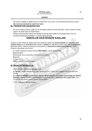 DrTus.com                                                    38
                                           ilk ve tek t us portalı


                                                 ANAT OMĐ

   Parmakların yavaş ve nazik fleksiyon hareketinden sorumludur. Distal falankslara fleksiyon yaptırır.
   Elin kavrama hareketinde önemli bir kastır.
M. PRONATOR QUADRATUS
   Bir ucu ile sadece ulna’ya, diğer ucu ile de sadece radius’a tutunan tek kastır. Ulna ve radius’un distal
   uçlarını bir arada tutan en önemli kastır.
   Önkolun esas pronator kasıdır. Bu hareket sırasında daima aktiftir ve ilk çalışan kastır. Hızlı ve
   kuvvetli pronasyonda, harekete m. pronator teres de katılır.
                        ÖNKOLUN EKSTENSÖR KASLARI
Yüzeyel ve derin olarak iki tabaka yapar. Bu kaslardan sadece m. brachioradialis, m. extensor carpi
radialis longus ve m. anconeus direk olarak n. radialis’ten, diğerleri bu sinirin derin dalı (r. profundus)
tarafından uyarılır. Ramus profundus’un terminaline, n. interosseus antebrachii posterior ( =PIN,
Posterior interosseal nerve) denir.
   N. radialis tarafından uyarılan kasları BEST-ABDAL olarak kodlayabiliriz.
   Brachioradialis
   Ekstensörler (el ve parmakların tüm ekstensör kasları)
   Supinator
   Triceps brachii
   ABDAL; Abductor pollicis longus


M. BRACHIORADIALIS
   Önkolun radial tarafında en yüzeyel kastır.
   A. radialis, önkolun distalinde bu kasın tendonunu ile m. flexor carpi radialis’in tendonu arasında
   bulunur.
   N. radialis tarafından uyarılmasına rağmen, dirsek eklemini ön taraftan çaprazladığı için önkola
   fleksiyon yaptırır. Özellikle hızlı fleksiyon hareketinde çalışır. Fleksiyona hız ve güç katar. Tam
   pronasyondaki önkolu midpronasyona getiren kastır.
   • Proc. styloideus radii’de sonlanır.




                                                                                                          38
 