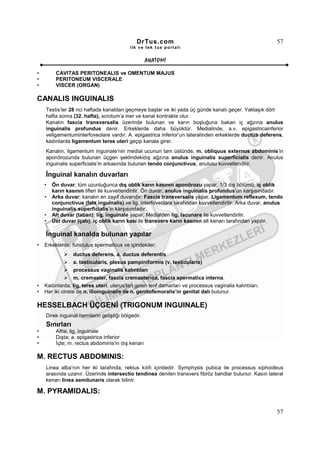 DrTus.com                                                   57
                                           ilk ve tek t us portalı


                                                    ANAT OMĐ

•        CAVITAS PERITONEALIS ve OMENTUM MAJUS
•        PERITONEUM VISCERALE
•        VISCER (ORGAN)

CANALIS INGUINALIS
    Testis’ler 28 nci haftada kanaldan geçmeye başlar ve iki yada üç günde kanalı geçer. Yaklaşık dört
    hafta sonra (32. hafta), scrotum’a iner ve kanal kontrakte olur.
    Kanalın fascia transversalis üzerinde bulunan ve karın boşluğuna bakan iç ağzına anulus
    inguinalis profundus denir. Erkeklerde daha büyüktür. Medialinde, a.v. epigastricainferior
    veligamentuminterfoveolare vardır. A. epigastrica inferior’un lateralinden erkeklerde ductus deferens,
    kadınlarda ligamentum teres uteri geçip kanala girer.
    Kanalın, ligamentum inguinale’nin medial ucunun tam üstünde, m. obliquus externus abdominis’in
    aponörozunda bulunan üçgen şeklindekidış ağzına anulus inguinalis superficialis denir. Anulus
    inguinalis superficialis’in arkasında bulunan tendo conjunctivus, anulusu kuvvetlendirir.

    Đnguinal kanalın duvarları
    •   Ön duvar; tüm uzunluğunca dış oblik karın kasının aponörozu yapar. 1/3 dış bölümü, iç oblik
        karın kasının lifleri ile kuvvetlendirilir. Ön duvar, anulus inguinalis profundus’un karşısındadır.
    •   Arka duvar; kanalın en zayıf duvarıdır. Fascia transversalis yapar. Ligamentum reflexum, tendo
        conjunctivus (falx inguinalis) ve lig. interfoveolare tarafından kuvvetlendirilir. Arka duvar, anulus
        inguinalis superficialis’in karşısındadır.
    •   Alt duvar (taban); lig. inguinale yapar. Medialden lig. lacunare ile kuvvetlendirilir.
    •   Üst duvar (çatı); iç oblik karın kası ile transvers karın kasının alt kenarı tarafından yapılır.

    Đnguinal kanalda bulunan yapılar
•   Erkeklerde; funiculus spermaticus ve içindekiler;
                  ductus deferens, a. ductus deferentis
                  a. testicularis, plexus pampiniformis (v. testicularis)
                  processus vaginalis kalıntıları
                  m. cremaster, fascia cremasterica, fascia spermatica interna.
•   Kadınlarda; lig. teres uteri, uterus’tan gelen lenf damarları ve processus vaginalis kalıntıları.
•   Her iki cinste de n. ilioinguinalis ile n. genitofemoralis’in genital dalı bulunur.

HESSELBACH ÜÇGENĐ (TRIGONUM INGUINALE)
    Direk inguinal hernilerin geliştiği bölgedir.
    Sınırları
•        Altta; lig. inguinale
•        Dışta; a. epigastrica inferior
•        Đçte; m. rectus abdominis’in dış kenarı

M. RECTUS ABDOMINIS:
    Linea alba’nın her iki tarafında, rektus kılıfı içindedir. Symphysis pubica ile processus xiphoideus
    arasında uzanır. Üzerinde intersectio tendinea denilen transvers fibröz bandlar bulunur. Kasın lateral
    kenarı linea semilunaris olarak bilinir.

M. PYRAMIDALIS:

                                                                                                          57
 