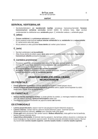 DrTus.com                                                        6
                                              ilk ve tek t us portalı


                                                     ANAT OMĐ


SERVĐKAL VERTEBRALAR
    •       Servikalvertebraların en karakteristik özelliği, processus transversus’larındaki foramen
            transversarium vertebrae cervicales denilen deliktir. C vertebra hariç, diğer servikal
                                                                              7

            vertebralardaki bu deliklerden a.v. vertebralis geçer. C ’ninkilerden sadece v. vertebralis geçer.
                                                                    7


    C (atlas)
        1


    •       Corpus vertebrae’si ve processus spinosus’u yoktur.
    •       Arcus posterior’unda bulunan sulcus arteriae vertebralis’ten a. vertebralis ile n. suboccipitalis
            (C spinal sinirin arka dalı) geçer.
              1

    •       Arcus anterior’un arka yüzünde fovea dentis adı verilen çukur bulunur

    C (axis)
        2


    •       Servikal vertebraların en kuvvetlisidir.
    •       Atlas (fovea dentis) ile eklem yapan dens axis isimli bir çıkıntısı vardır. Dens axis’i, ligamentum
            transversum atlantis pozisyonunda tutar.

    C (vertebra prominens)
        7

    •       Processus spinosus’u ve processus transversus’ları en uzun servikal vertebradır.
    •       Canlıda elle muayenede, spinalçıkıntısı hissedilebilen tek servikalvertebradır. Bu nedenle
            vertebraların sayılmasında kullanılır.
    •       Processus spinosus’u çatalsız tek servikal vertebradır.
    •       En küçük foramen transversarium’u olan servikal vertebradır. Foramen transversarium’larından
            sadece vertebral ven geçer, a. vertebralis geçmez.


                              KRANYUM KEMĐKLERĐ (OSSA CRANII)
                                     NEUROCRANIUM
OS FRONTALE
•   Fossa glandulae lacrimalis’e, canlıda glandula lacrimalis’in orbital parçası oturur.
•   Sutura frontalis persistens(sutura metopica);genellikle altıncı yaştan sonra kaybolan bu sütür,
    bazen kalıcı olabilir. Kırık ile karıştırılabilir.

OS PARIETALE
•   Sulcus arteriae meningeae mediae; iç yüzde görülen bu oluklar, a. meningea media’nın dallarına
    aittir. Bu dalların açılması, epidural hemorajilere neden olur.
•   Yenidoğanda bulunan 6 fontanelin de yapısına katılan tek kemiktir.

OS ETHMOIDALE
•   Lamina perpendicularis; septum nasi’nin üst parçasının büyük bölümünü oluşturur.
•   Lamina cribrosa; cavitas nasi’nin çatısının büyük bölümünü yapar. Üzerinde bulunan
    deliklerden(foramina cribrosa), olfaktor sinir uzantıları kafa içine geçer.
•   Crista galli isimli çıkıntısına, falx cerebri tutunur. Bulbus olfactorius, crista galli’nin her iki tarafında,
    lamina cribrosa üzerinde oturur.
•   Labyrinthus ethmoidalis; iki laminalı olan bu parçanın, dış laminası orbita iç duvarının, iç laminası da
    burun boşluğunun dış duvarının yapısına katılır. Đki lamina arasında etmoidal sinüsler bulunur. Burnun
    dış duvarındaki concha nasalis superior, concha nasalis media ve concha nasalis suprema


                                                                                                                  6
 