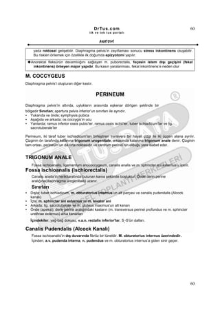 DrTus.com                                                    60
                                          ilk ve tek t us portalı


                                                 ANAT OMĐ

     yada rektosel gelişebilir. Diaphragma pelvis’in zayıflaması sonucu stress inkontinens oluşabilir.
     Bu riskleri önlemek için özellikle ilk doğumda epizyotomi yapılır.
    Anorektal fleksürün devamlılığını sağlayan m. puborectalis, feçesin istem dışı geçişini (fekal
     inkontinens) önleyen major yapıdır. Bu kasın yaralanması, fekal inkontinens’e neden olur

M. COCCYGEUS
Diaphragma pelvis’i oluşturan diğer kastır.


                                              PERINEUM
Diaphragma pelvis’in altında, uylukların arasında eşkenar dörtgen şeklinde bir
bölgedir Sınırları; apertura pelvis inferior’un sınırları ile aynıdır.
• Yukarıda ve önde; symphysis pubica
• Aşağıda ve arkada; os coccygis’in ucu
• Yanlarda; ramus inferior ossis pubis’ler, ramus ossis ischii’ler, tuber ischiadicum’lar ve lig.
   sacrotuberale’ler

Perineum, iki taraf tuber ischiadicum’ları birleştiren transvers bir hayali çizgi ile iki üçgen alana ayrılır.
Çizginin ön tarafında kalanına trigonum urogenitale, arkasında kalanına trigonum anale denir. Çizginin
tam ortası, perineum’un da orta noktasıdır ve centrum perinei’nin olduğu yere isabet eder.


TRIGONUM ANALE
    Fossa ischioanalis, ligamentum anococcygeum, canalis analis ve m. sphincter ani externus’u içerir.
Fossa ischioanalis (ischiorectalis)
    Canalis analis’in herikitarafında bulunan kama şeklinde boşluktur. Önde derin perine
    aralığına(diaphragma urogenitale) uzanır.
    Sınırları
•   Dışta; tuber ischiadicum, m. obturatorius internus’un alt parçası ve canalis pudendalis (Alcock
    kanalı)
•   Đçte; m. sphincter ani externus ve m. levator ani
•   Arkada; lig. sacrotuberale ve m. gluteus maximus’un alt kenarı
•   Önde (apeksi); derin perine aralığındaki kasların (m. transversus perinei profundus ve m. sphincter
    urethrae externus) arka kenarları
    Đçindekiler; yağ-bağ dokusu, v.a.n. rectalis inferior’lar, S -S’ün dalları.
                                                                    2




Canalis Pudendalis (Alcock Kanalı)
    Fossa ischioanalis’in dış duvarında fibröz bir tüneldir. M. obturatorius internus üzerindedir.
    Đçinden; a.v. pudenda interna, n. pudendus ve m. obturatorius internus’a giden sinir geçer.




                                                                                                           60
 