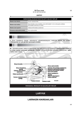 DrTus.com                                                               64
                                         ilk ve tek t us portalı


                                                 ANAT OMĐ

                       BURUN BOŞLUĞUNDAKĐ MEATUSLAR’A AÇILAN YAPILAR

Meatus nasi inferior          Ductus nasolacrimalis

                              Sinus frontalis, sinus maxillaris, sinus ethmoidalis’ in ön ve orta grubu (cellulae
Meatus nasi medius
                              ethmoidales anteriores ve medii)

Meatus nasi superior          Cellulae ethmoidales posteriores

Recessus sphenoethmoidalis    Sinus sphenoidalis




   Sinus maxillaris’in drenajı, ostiumlarının yükseklokalizasyonu nedeniyle fakirdir. Bu yüzden,
infeksiyonları en çok görülen paranazal sinüstür.



    Etmoidal sinüsler, orbita ve optik kanalla olan yakın komşuluğu nedeniyle, infeksiyonları orbita’ya
en kolay yayılan paranazal sinüslerdir. Özellikle arka grup etmoidal sinüslerin infeksiyonları, optik
nörite neden olabilir.




                             LARĐNKSĐN KIKIRDAKLARI

                                                                                                                    64
 