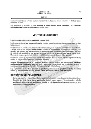 DrTus.com                                                  72
                                       ilk ve tek t us portalı


                                             ANAT OMĐ

inferioris’in üstünde ve solunda, septum interatriale’dedir. Fossanın kenarı kabarıktır ve limbus fossa
ovalis adı ile bilinir.
Sağ atriyum’un iç yüzünde; v. cava superior, v. cava inferior, sinus coronarius, vv. cardiacae
anteriores ve vv. cardiacae minimae’lerin ağızları vardır.




                                 VENTRICULUS DEXTER

Đç yüzündeki kas kabarıntılarına trabeculae carneae denir.
Đç yüzünde görülen crista supraventricularis, triküspid kapak ile pulmoner kapağı ayıran kalın bir kas
kabarıntısıdır.
Ventrikülün sol ve arka duvarını, septum interventriculare yapar. Septumun büyük bölümü muskülerdir.
Yaklaşık 1 cm lik üst parçası membranözdür ve septum interatriale’nin alt parçasıyla komşudur. Sol
ventrikül, sağ ventrikül’den, sağ atriyum da sol atriyum’dan daha büyük olduğu için, membranöz parçanın
bir bölümü sol ventrikül ile sağ atriyum arasında yer alır ve atriyoventriküler parça olarak bilinir.
Membranöz parçanın geriye kalan bölümü ventriküller arasındadır (interventriküler parça).
Ventrikülün, ostium truncipulmonalis’in altında kalan bölümü düzdür. Conus arteriosus(infundibulum)
denilen bu bölüm, pulmonal kapağın küspislerini destekler.
Septum interventriculare ile m. papillaris anterior arasında uzanan kas kabarıntısına trabecula
septomarginalis (moderatör band)adı verilir. Ventrikülün septalyüzünü ve m. papillaris anterior’u
destekleyen bu oluşumun içinde, kalbin ileti sistemi ile ilgili lifler bulunur.
Sağ ventrikül’de, m. papillaris anterior, m. papillaris posterior ve m. papillaris septalis (medialis)
denilen üç tane papiller kas bulunur. Papiller kaslar, trabeculae carneae kalınlaşmalarıdır.


OSTIUM TRUNCI PULMONALIS
   Conus arteriosus’un yukarısındadır. Ostium atrioventriculare dextrum’un da yukarısında ve solundadır.
   Diastolde bu deliği valva trunci pulmonalis denilen kapak kapatır. Pulmonalkapağın; valvula
   semilunaris dextra, valvula semilunaris sinistra ve valvula semilunaris anterior denilen üç tane
   yarım ay şeklinde valvulası vardır.




                                                                                                     72
 