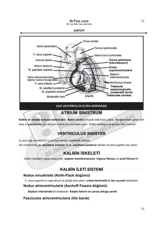 DrTus.com                                                      73
                                          ilk ve tek t us portalı


                                                 ANAT OMĐ




                                     ATRIUM SINISTRUM
Kalbin en arkada bulunan bölümüdür. Basis cordis’in büyük bölümünü yapar. Akciğerlerden gelen dört
tane v. pulmonalis, sol atriyum’a arka-dış yüzünden açılır. Kalbin özofagus ile komşu olan kısmıdır.


                                  VENTRICULUS SINISTER
Đç yüzü sağ ventrikül’ün iç yüzüyle benzer özelliklere sahiptir.
Sol ventrikül’de, m. papillaris anterior ve m. papillaris posterior denilen iki tane papiller kas vardır.


                                       KALBĐN ĐSKELETĐ
    Kalbin iskeletini yapan oluşumlar; septum membranaceum, trigona fibrosa ve anuli fibrosi’dir.



                                    KALBĐN ĐLETĐ SĐSTEMĐ
    Nodus sinuatrialis (Keith-Flack düğümü)
     V. cava superior’un sağ atriyum’a girdiği yere yakın, crista terminalis’in üst ucunda lokalizedir.

    Nodus atrioventricularis (Aschoff-Tawara düğümü)
        Septum interatriale’de lokalizedir. Kalpte iletinin en yavaş olduğu yerdir.

    Fasciculus atrioventricularis (His bandı)


                                                                                                            73
 