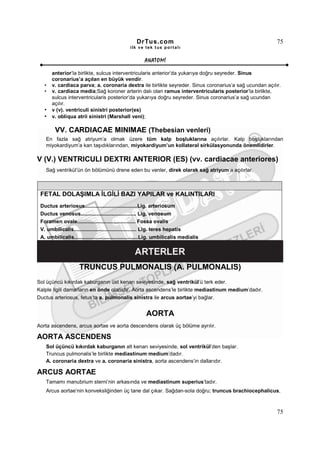 DrTus.com                                             75
                                                ilk ve tek t us portalı


                                                       ANAT OMĐ

       anterior’la birlikte, sulcus interventricularis anterior’da yukarıya doğru seyreder. Sinus
       coronarius’a açılan en büyük vendir.
   •   v. cardiaca parva; a. coronaria dextra ile birlikte seyreder. Sinus coronarius’a sağ ucundan açılır.
   •   v. cardiaca media;Sağ koroner arterin dalı olan ramus interventricularis posterior’la birlikte,
       sulcus interventricularis posterior’da yukarıya doğru seyreder. Sinus coronarius’a sağ ucundan
       açılır.
   •   v (v). ventriculi sinistri posterior(es)
   •   v. obliqua atrii sinistri (Marshall veni);

        VV. CARDIACAE MINIMAE (Thebesian venleri)
   En fazla sağ atriyum’a olmak üzere tüm kalp boşluklarına açılırlar. Kalp boşluklarından
   miyokardiyum’a kan taşıdıklarından, miyokardiyum’un kollateral sirkülasyonunda önemlidirler.

V (V.) VENTRICULI DEXTRI ANTERIOR (ES) (vv. cardiacae anteriores)
   Sağ ventrikül’ün ön bölümünü drene eden bu venler, direk olarak sağ atriyum’a açılırlar.



 FETAL DOLAŞIMLA ĐLGĐLĐ BAZI YAPILAR ve KALINTILARI
 Ductus arteriosus....................................Lig. arteriosum
 Ductus venosus...................................... Lig. venosum
 Foramen ovale........................................ Fossa ovalis
 V. umbilicalis........................................... Lig. teres hepatis
 A. umbilicalis............................................Lig. umbilicalis medialis




                     TRUNCUS PULMONALIS (A. PULMONALIS)
Sol üçüncü kıkırdak kaburganın üst kenarı seviyesinde, sağ ventrikül’ü terk eder.
Kalple ilgili damarların en önde olanıdır. Aorta ascendens’le birlikte mediastinum medium’dadır.
Ductus arteriosus, fetus’ta a. pulmonalis sinistra ile arcus aortae’yi bağlar.


                                                        AORTA
Aorta ascendens, arcus aortae ve aorta descendens olarak üç bölüme ayrılır.

AORTA ASCENDENS
   Sol üçüncü kıkırdak kaburganın alt kenarı seviyesinde, sol ventrikül’den başlar.
   Truncus pulmonalis’le birlikte mediastinum medium’dadır.
   A. coronaria dextra ve a. coronaria sinistra, aorta ascendens’in dallarıdır.

ARCUS AORTAE
   Tamamı manubrium sterni’nin arkasında ve mediastinum superius’tadır.
   Arcus aortae’nin konveksliğinden üç tane dal çıkar. Sağdan-sola doğru; truncus brachiocephalicus,



                                                                                                         75
 