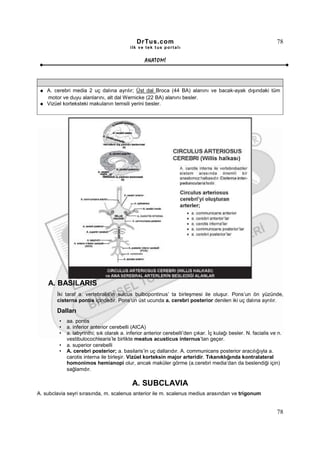 DrTus.com                                                          78
                                           ilk ve tek t us portalı


                                                  ANAT OMĐ




    A. cerebri media 2 uç dalına ayrılır; Üst dal Broca (44 BA) alanını ve bacak-ayak dışındaki tüm
    motor ve duyu alanlarını, alt dal Wernicke (22 BA) alanını besler.
    Vizüel korteksteki makulanın temsili yerini besler.




    A. BASILARIS
        Đki taraf a. vertebralis’in sulcus bulbopontinus’ ta birleşmesi ile oluşur. Pons’un ön yüzünde,
        cisterna pontis içindedir. Pons’un üst ucunda a. cerebri posterior denilen iki uç dalına ayrılır.

        Dalları
         •   aa. pontis
         •   a. inferior anterior cerebelli (AICA)
         •   a. labyrinthi; sık olarak a. inferior anterior cerebelli’den çıkar. Đç kulağı besler. N. facialis ve n.
             vestibulocochlearis’le birlikte meatus acusticus internus’tan geçer.
         •   a. superior cerebelli
         •   A. cerebri posterior; a. basilaris’in uç dallarıdır. A. communicans posterior aracılığıyla a.
             carotis interna ile birleşir. Vizüel korteksin major arteridir. Tıkanıklığında kontralateral
             homonimos hemianopi olur, ancak maküler görme (a.cerebri media’dan da beslendiği için)
             sağlamdır.

                                            A. SUBCLAVIA
A. subclavia seyri sırasında, m. scalenus anterior ile m. scalenus medius arasından ve trigonum


                                                                                                                 78
 