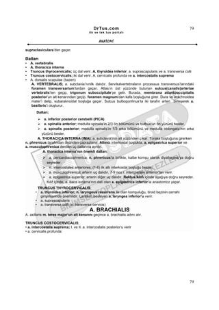 DrTus.com                                                    79
                                           ilk ve tek t us portalı


                                                  ANAT OMĐ

supraclaviculare’den geçer.

Dalları
•   A. vertebralis
•   A. thoracica interna
•   Truncus thyrocervicalis; üç dal verir. A. thyroidea inferior, a. suprascapularis ve a. transversa colli
•   Truncus costocervicalis; iki dal verir. A. cervicalis profunda ve a. intercostalis suprema
•   A. dorsalis scapulae (bazen)
    A. VERTEBRALIS; a. subclavia’nınilk dalıdır. Servikalvertebraların processus transversus’larındaki
    foramen transversarium’lardan geçer. Atlas’ın üst yüzünde bulunan sulcus(canalis)arteriae
    vertebralis’ten geçip, trigonum suboccipitale’ye gelir. Burada, membrana atlantooccipitalis
    posterior’un alt kenarından geçip, foramen magnum’dan kafa boşluğuna girer. Dura ve arachnoidea
    mater’i delip, subaraknoidal boşluğa geçer. Sulcus bulbopontinus’ta iki tarafın arteri birleşerek a.
    basilaris’i oluşturur.
       Dalları;
            a. inferior posterior cerebelli (PICA)
            a. spinalis anterior; medulla spinalis’in 2/3 ön bölümünü ve bulbus’un ön yüzünü besler.
            a. spinalis posterior; medulla spinalis’in 1/3 arka bölümünü ve medulla oblongata’nın arka
          yüzünü besler.
       A. THORACICA INTERNA (IMA); a. subclavia’nın alt yüzünden çıkar. Toraks boşluğuna girerken
n. phrenicus tarafından önünden çaprazlanır. Altıncı interkostal boşlukta, a. epigastrica superior ve
a. musculophrenica denilen uç dallarına ayrılır.
           A. thoracica interna’nın önemli dalları;
               a. pericardiacophrenica; n. phrenicus’la birlikte, kalbe komşu olarak diyafragma’ya doğru
              seyreder.
               rr. intercostales anteriores; (1-6) ilk altı interkostal boşluğu besler.
               a. musculophrenica; arterin uç dalıdır. 7-9 ncu r. intercostalis anterior’ları verir.
               a. epigastrica superior; arterin diğer uç dalıdır. Rektus kılıfı içinde aşağıya doğru seyreder.
              Kılıf içinde, a. iliaca externa’nın dalı olan a. epigastrica inferior’la anastomoz yapar.
        TRUNCUS THYROCERVICALIS;
       • a. thyroidea inferior; n. laryngeus recurrens ile olan komşuluğu, tiroid bezinin cerrahi
         girişimlerinde önemlidir. Larinks’i besleyen a. laryngea inferior’u verir.
       • a. suprascapularis
       • a. transversa colli (a. transversa cervicis)
                                           A. BRACHIALIS
A. axillaris m. teres major’un alt kenarını geçince a. brachialis adını alır.

TRUNCUS COSTOCERVICALIS;
• a. intercostalis suprema; I. ve II. a. intercostalis posterior’u verir
• a. cervicalis profunda




                                                                                                           79
 
