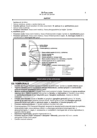 DrTus.com                                                      8
                                          ilk ve tek t us portalı


                                                 ANAT OMĐ

     turcica adı ile bilinir.
•    Sulcus caroticus, içinde a. carotis interna var.
•    Canalis opticus; küçük kanatların iki kökü arasındadır. N. opticus ile a. ophthalmica geçer.
•    Sulcus tubae auditivae
•    Foramen rotundum; fossa cranii media’yı, fossa pterygopalatina’ya bağlar. Đçinden
n.   maxillaris geçer.
•    Foramen ovale; fossa cranii media’yı, fossa infratemporalis’e bağlar. Đçinden n. mandibularis geçer.
•    Foramen spinosum; fossa cranii media’yı, fossa infratemporalis’e bağlar. A. meningea media ile n.
     mandibularis’in meningeal dalı geçer.




OS TEMPORALE
•      Canalis caroticus; foramen jugulare’nin hemen ön tarafındadır. Đçinden a. carotis interna geçer.
•      Tegmen tympani;buince kemiklamel, antrum mastoideum, cavitas tympani ve semicanalis
       musculi tensoris tympani’nin çatısını yapar.
•      Meatus acusticus internus; iç kulağı fossa cranii posterior’a bağlar. Başlangıcına porus acusticus
       internus denir. Meatus acusticus internus’tan; n. facialis, n. intermedius (n. facialis’in duyu kökü),
       n. vestibulocochlearis ve a.v. labyrinthi geçer. Ganglion vestibulare, meatus’un dibinde
       lokalizedir.
•      Canalis nervi facialis; içinde n. facialis ve ganglionu (ganglion geniculi) bulunur. N. facialis,
       kemik içi en uzun seyir gösteren kranyal sinirdir. Kanal içinde üç tane dal (Ganglion geniculi
       hizasında kanalı terk eden n. petrosus major, n. stapedius ve chorda tympani) verir.
•      Foramen stylomastoideum; n. facialis kafatasını buradan terk eder.
•      Foramenjugulare (TO=Temporal+Oksipital); temporal ile oksipital kemik arasında kalan bu açıklıktan,
       öndenarkaya doğru; sinus petrosus inferior, a. pharyngea ascendens’inmeningeal dalı, n.
       glossopharyngeus, n. vagus, n. accessorius, a. occipitalis’in meningeal dalı ve sinus sigmoideus (v.
       jugularis interna) geçer.
•      Impressio trigeminalis; ganglion trigeminale’nin izi.
•      Foramen lacerum (TOS= Temporal + Oksipital + Sfenoid); çatısından ACI ve n. canalis
       pterygoidei (Vidian siniri) geçer.
•      Canalis musculo tubarius


                                                                                                            8
 