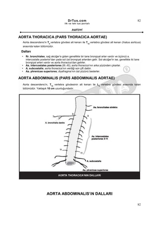 DrTus.com                                                        82
                                         ilk ve tek t us portalı


                                                ANAT OMĐ

AORTA THORACICA (PARS THORACICA AORTAE)
  Aorta descendens’in T4 vertebra gövdesi alt kenarı ile T12 vertebra gövdesi alt kenarı (hiatus aorticus)
  arasında kalan bölümüdür.

 Dalları
 •   Rr. bronchiales; sağ akciğer’e giden genellikle bir tane bronşiyal arter vardır ve üçüncü a.
     intercostalis posterior’dan yada sol üst bronşiyal arterden gelir. Sol akciğer’in ise, genellikle iki tane
     bronşiyal arteri vardır ve aorta thoracica’dan gelirler.
 •   Aa. intercostales posteriores (III.-XI); aorta thoracica’nın arka yüzünden çıkarlar.
 •   A. subcostalis; aorta thoracica’nın verdiği son çift daldır.
 •   Aa. phrenicae superiores; diyafragma’nın üst yüzünü beslerler.

AORTA ABDOMINALIS (PARS ABDOMINALIS AORTAE)
  Aorta descendens’in, T12 vertebra gövdesinin alt kenarı ile L4 vertebra gövdesi arasında kalan
  bölümüdür. Yaklaşık 10 cm uzunluğundadır.




                        AORTA ABDOMINALIS’iN DALLARI

                                                                                                             82
 