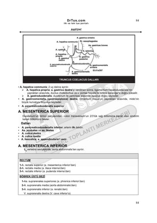 DrTus.com                                                   84
                                          ilk ve tek t us portalı


                                                   ANAT OMĐ




• A. hepatica communis; 2 uç dalına ayrılır.
       A. hepatica propria; a. gastrica dextra’yı verdikten sonra, ligamentum hepatoduodenale’nin
        yaprakları arasında, ductus choledochus ve v. portae hepatis’le birlikte karaciğer’e doğru yükselir.
        A. gastroduodenalis; duodenum ile pancreas arasında aşağıya doğru seyreder.
    A. gastroomentalis (gastroepiploica) dextra; Omentum majus’un yaprakları arasında, mide’nin
   büyük kurvaturu boyunca seyreder.
   A. pancreaticoduodenalis superior

A. MESENTERICA SUPERIOR
   Duodenum’un birinci parçasından, colon transversum’un 2/3’lük sağ bölümüne kadar olan sindirim
   kanalı bölümünü besler.
  Dalları
• A. pancreaticoduodenalis inferior; arterin ilk dalıdır.
• Aa. jejunales ve aa. ileales
• A. colica dextra
• A. colica media
• A. ileocolica; a. appendicularis’i verir.

A. MESENTERICA INFERIOR
     L3 vertebra seviyesinde, aorta abdominalis’ten ayrılır.



 RECTUM
 1-A. rectalis superior (a. mesenterica inferior’dan)
 2-A. rectalis media (a. iliaca interna’dan)
 3-A. rectalis inferior (a. pudenda interna’dan)
 BÖBREK ÜSTÜ BEZĐ
   1-Aa. suprarenales superiores (a. phrenica inferior’dan)
   2-A. suprarenalis media (aorta abdominalis’den)
   3-A. suprarenalis inferior (a. renalis’den)
     V. suprarenalis dextra (V. cava inferior’a)


                                                                                                         84
 