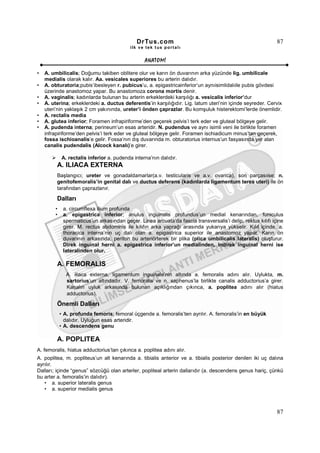 DrTus.com                                                      87
                                            ilk ve tek t us portalı


                                                  ANAT OMĐ

•   A. umbilicalis; Doğumu takiben oblitere olur ve karın ön duvarının arka yüzünde lig. umbilicale
    medialis olarak kalır. Aa. vesicales superiores bu arterin dalıdır.
•   A. obturatoria;pubis’ibesleyen r. pubicus’u, a. epigastricainferior’un aynıisimlidalıile pubis gövdesi
    üzerinde anastomoz yapar. Bu anastomoza corona mortis denir.
•   A. vaginalis; kadınlarda bulunan bu arterin erkeklerdeki karşılığı a. vesicalis inferior’dur
•   A. uterina; erkeklerdeki a. ductus deferentis’in karşılığıdır. Lig. latum uteri’nin içinde seyreder. Cervix
    uteri’nin yaklaşık 2 cm yakınında, ureter’i önden çaprazlar. Bu komşuluk histerektomi’lerde önemlidir.
•   A. rectalis media
•   A. glutea inferior; Foramen infrapiriforme’den geçerek pelvis’i terk eder ve gluteal bölgeye gelir.
•   A. pudenda interna; perineum’un esas arteridir. N. pudendus ve aynı isimli veni ile birlikte foramen
    infrapiriforme’den pelvis’i terk eder ve gluteal bölgeye gelir. Foramen ischiadicum minus’tan geçerek,
    fossa ischioanalis’e gelir. Fossa’nın dış duvarında m. obturatorius internus’un fasyasında yer alan
    canalis pudendalis (Alcock kanalı)’e girer.

             A. rectalis inferior a. pudenda interna’nın dalıdır.
         A. ILIACA EXTERNA
         Başlangıcı; ureter ve gonadaldamarlar(a.v. testicularis ve a.v. ovarica), son parçasıise; n.
         genitofemoralis’in genital dalı ve ductus deferens (kadınlarda ligamentum teres uteri) ile ön
         tarafından çaprazlanır.

         Dalları
         •    a. circumflexa ilium profunda
         •    a. epigastrica inferior; anulus inguinalis profundus’un medial kenarından, funiculus
              spermaticus’un arkasından geçer. Linea arcuata’da fascia transversalis’i delip, rektus kılıfı içine
              girer. M. rectus abdominis ile kılıfın arka yaprağı arasında yukarıya yükselir. Kılıf içinde, a.
              thoracica interna’nın uç dalı olan a. epigastrica superior ile anastomoz yapar. Karın ön
              duvarının arkasında, periton bu arteriörterek bir plika (plica umbilicalis lateralis) oluşturur.
              Direk inguinal herni a. epigastrica inferior’un medialinden, indirek inguinal herni ise
              lateralinden olur.

         A. FEMORALIS
               A. iliaca externa, ligamentum inguinale’nin altında a. femoralis adını alır. Uylukta, m.
               sartorius’un altındadır. V. femoralis ve n. saphenus’la birlikte canalis adductorius’a girer.
               Kanalın uyluk arkasında bulunan açıklığından çıkınca, a. poplitea adını alır (hiatus
               adductorius).

         Önemli Dalları
             • A. profunda femoris; femoral üçgende a. femoralis’ten ayrılır. A. femoralis’in en büyük
               dalıdır. Uyluğun esas arteridir.
             • A. descendens genu

         A. POPLITEA
A. femoralis, hiatus adductorius’tan çıkınca a. poplitea adını alır.
A. poplitea, m. popliteus’un alt kenarında a. tibialis anterior ve a. tibialis posterior denilen iki uç dalına
ayrılır.
Dalları; içinde “genus” sözcüğü olan arterler, popliteal arterin dallarıdır (a. descendens genus hariç, çünkü
bu arter a. femoralis’in dalıdır).
   • a. superior lateralis genus
   • a. superior medialis genus



                                                                                                              87
 