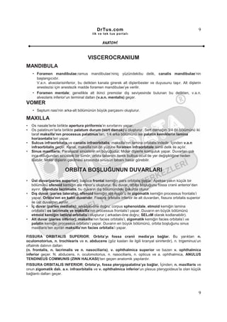 DrTus.com                                                         9
                                           ilk ve tek t us portalı


                                                  ANAT OMĐ


                                        VISCEROCRANIUM
MANDIBULA
    • Foramen mandibulae;ramus mandibulae’niniç yüzündekibu delik, canalis mandibulae’nin
      başlangıcıdır.
      V.a.n. alveolarisinferior, bu delikten kanala girerek alt dişleribesler ve duyusunu taşır. Alt dişlerin
      anestezisi için anestezik madde foramen mandibulae’ye verilir.
    • Foramen mentale; genellikle alt ikinci premolar diş seviyesinde bulunan bu delikten, v.a.n.
      alveolaris inferior’un terminal dalları (v.a.n. mentalis) geçer.
VOMER
    • Septum nasi’nin arka-alt bölümünün büyük parçasını oluşturur.

MAXILLA
•   Os nasale’lerle birlikte apertura piriformis’in sınırlarını yapar.
•   Os palatinum’larla birlikte palatum durum (sert damak)’u oluşturur. Sert damağın 3/4 ön bölümünü iki
    taraf maksilla’nın processus palatinus’ları, 1/4 arka bölümünü ise palatin kemiklerin lamina
    horizontalis’leri yapar.
•   Sulcus infraorbitalis ve canalis infraorbitalis; maksilla’nın lamina orbitalis’indedir. Đçinden v.a.n
    infraorbitalis geçer. Kanal, maksilla’nın ön yüzüne foramen infraorbitale isimli delik ile açılır.
•   Sinus maxillaris; Paranazal sinüslerin en büyüğüdür. Molar dişlerle komşuluk yapar. Duvarları çok
    ince olduğundan sinüsteki bir tümör, orbita tabanını iterek bulbus oculi’de yer değişikliğine neden
    olabilir. Molar dişlerin çekilmesi sırasında sinüsün tabanı hasar görebilir.

                         ORBĐTA BOŞLUĞUNUN DUVARLARI
•   Üst duvar(paries superior); başlıca frontal kemiğin pars orbitalis’iyapar. Apekse yakın küçük bir
    bölümünü sfenoid kemiğin ala minor’u oluşturur. Bu duvar, orbita boşluğunu fossa cranii anterior’dan
    ayırır. Glandula lacrimalis, bu duvarın dış bölümündeki çukurda oturur.
•   Dış duvar (paries lateralis); sfenoid kemiğin ala major’u ile zigomatik kemiğin processus frontalis’i
    yapar. Orbita’nın en kalın duvarıdır. Fissura orbitalis inferior ile alt duvardan, fissura orbitalis superior
    ile üst duvardan ayrılır.
•   Đç duvar (paries medialis); arkadan-öne doğru; corpus sphenoidale, etmoid kemiğin lamina
    orbitalis’i os lacrimale ve maksilla’nın processus frontalis’i yapar. Duvarın en büyük bölümünü
    etmoid kemiğin lamina orbitalis’i oluşturur ( arkadan-öne doğru; SELaM olarak kodlanabilir).
•   Alt duvar (paries inferior); maksilla’nın facies orbitalis’i, zigomatik kemiğin facies orbitalis’i ve
    palatin kemiğin processus orbitalis’i yapar. Duvarın en büyük bölümünü, orbita boşluğunu sinus
    maxillaris’ten ayıran maksilla’nın facies orbitalis’i yapar.

FISSURA ORBITALIS SUPERIOR; Orbita’yı fossa cranii media’ya bağlar. Bu yarıktan n.
oculomotorius, n. trochlearis ve n. abducens (göz kasları ile ilgili kranyal sinirlerdir), n. trigeminus’un
oftalmik dalının dalları
(n. frontalis, n. lacrimalis ve n. nasociliaris), v. ophthalmica superior ve bazen v. ophthalmica
inferior geçer. N. abducens, n. oculomotorius, n. nasociliaris, n. opticus ve a. ophthalmica, ANULUS
TENDINEUS COMMUNIS (ZINN HALKASI)’ten geçen anatomik yapılardır.
FISSURA ORBITALIS INFERIOR; Orbita’yı, fossa pterygopalatina’ya bağlar. Đçinden; n. maxillaris ve
onun zigomatik dalı, a.v. infraorbitalis ve v. ophthalmica inferior’un plexus pterygoideus’la olan küçük
bağlantı dalları geçer.




                                                                                                                9
 