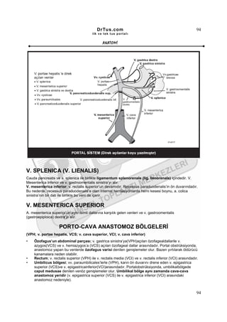 DrTus.com                                                      94
                                          ilk ve tek t us portalı


                                                ANAT OMĐ




V. SPLENICA (V. LIENALIS)
Cauda pancreatis ve a. splenica ile birlikte ligamentum splenorenale (lig. lienorenale) içindedir. V.
Mesenterica inferior ve v. gastroomentalis sinistra’yı alır.
V. mesenterica inferior; v. rectalis superior’un devamıdır. Recessus paraduodenalis’in ön duvarındadır.
Bu nedenle, recessus paraduodenalis’e olan internal herniasyonlarda herni kesesi boynu, a. colica
sinistra’nın bir dalı ile birlikte bu veni de içerir.

V. MESENTERICA SUPERIOR
A. mesenterica superior’un aynı isimli dallarına karşılık gelen venleri ve v. gastroomentalis
(gastroepiploica) dextra’yı alır.

                    PORTO-CAVA ANASTOMOZ BÖLGELERĐ
(VPH; v. portae hepatis, VCS; v. cava superior, VCI; v. cava inferior)
•    Özofagus’un abdominal parçası; v. gastrica sinistra’ya(VPH)açılan özofagealdallarile v.
     azygos(VCS) ve v. hemiazygos’a (VCS) açılan özofageal dallar arasındadır. Portal obstrüksiyonda,
     anastomoz yapan bu venlerde özofagus varisi denilen genişlemeler olur. Bazen yırtılarak öldürücü
     kanamalara neden olabilir.
•    Rectum; v. rectalis superior (VPH) ile v. rectalis media (VCI) ve v. rectalis inferior (VCI) arasındadır.
•    Umbilicus bölgesi; vv. paraumbilicales’lerle (VPH), karın ön duvarını drene eden v. epigastrica
     superior (VCS)ve v. epigastricainferior(VCI)arasındadır. Portalobstrüksiyonda, umbilikalbölgede
     caput medusae denilen venöz genişlemeler olur. Umbilikal bölge aynı zamanda cava-cava
     anastomoz yeridir (v. epigastrica superior (VCS) ile v. epigastrica inferior (VCI) arasındaki
     anastomoz nedeniyle).


                                                                                                            94
 