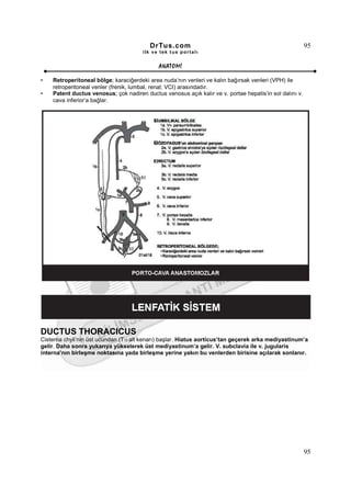 DrTus.com                                                      95
                                       ilk ve tek t us portalı


                                             ANAT OMĐ

•   Retroperitoneal bölge; karaciğerdeki area nuda’nın venleri ve kalın bağırsak venleri (VPH) ile
    retroperitoneal venler (frenik, lumbal, renal; VCI) arasındadır.
•   Patent ductus venosus; çok nadiren ductus venosus açık kalır ve v. portae hepatis’in sol dalını v.
    cava inferior’a bağlar.




DUCTUS THORACICUS
Cisterna chyli’nin üst ucundan (T12 alt kenarı) başlar. Hiatus aorticus’tan geçerek arka mediyastinum’a
gelir. Daha sonra yukarıya yükselerek üst mediyastinum’a gelir. V. subclavia ile v. jugularis
interna’nın birleşme noktasına yada birleşme yerine yakın bu venlerden birisine açılarak sonlanır.




                                                                                                         95
 