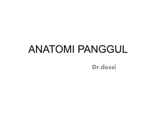 ANATOMI PANGGUL
Dr.dessi
 
