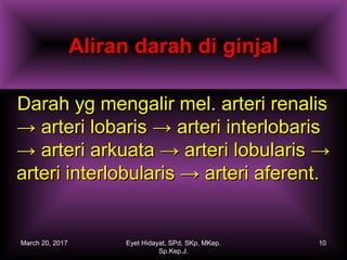 Aliran darah di ginjalAliran darah di ginjal
Darah yg mengalir mel. arteri renalisDarah yg mengalir mel. arteri renalis
→ arteri lobaris → arteri interlobaris→ arteri lobaris → arteri interlobaris
→ arteri arkuata → arteri lobularis →→ arteri arkuata → arteri lobularis →
arteri interlobularis → arteri aferent.arteri interlobularis → arteri aferent.
March 20, 2017 10Eyet Hidayat, SPd, SKp, MKep.
Sp.Kep.J.
 