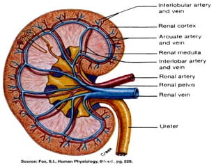 March 20, 2017 12Eyet Hidayat, SPd, SKp, MKep.
Sp.Kep.J.
 