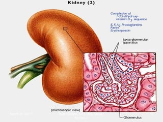 March 20, 2017 14Eyet Hidayat, SPd, SKp, MKep.
Sp.Kep.J.
 