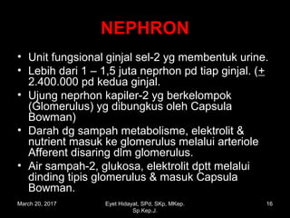 NEPHRONNEPHRON
• Unit fungsional ginjal sel-2 yg membentuk urine.
• Lebih dari 1 – 1,5 juta neprhon pd tiap ginjal. (+
2.400.000 pd kedua ginjal.
• Ujung neprhon kapiler-2 yg berkelompok
(Glomerulus) yg dibungkus oleh Capsula
Bowman)
• Darah dg sampah metabolisme, elektrolit &
nutrient masuk ke glomerulus melalui arteriole
Afferent disaring dlm glomerulus.
• Air sampah-2, glukosa, elektrolit dptt melalui
dinding tipis glomerulus & masuk Capsula
Bowman.
March 20, 2017 16Eyet Hidayat, SPd, SKp, MKep.
Sp.Kep.J.
 