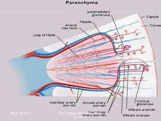 March 20, 2017 17Eyet Hidayat, SPd, SKp, MKep.
Sp.Kep.J.
 