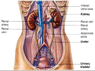 March 20, 2017 2Eyet Hidayat, SPd, SKp, MKep.
Sp.Kep.J.
 