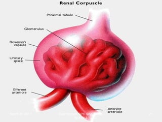 March 20, 2017 21Eyet Hidayat, SPd, SKp, MKep.
Sp.Kep.J.
 