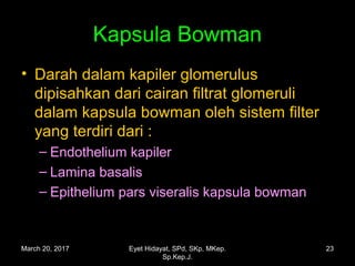 Kapsula Bowman
• Darah dalam kapiler glomerulus
dipisahkan dari cairan filtrat glomeruli
dalam kapsula bowman oleh sistem filter
yang terdiri dari :
– Endothelium kapiler
– Lamina basalis
– Epithelium pars viseralis kapsula bowman
March 20, 2017 23Eyet Hidayat, SPd, SKp, MKep.
Sp.Kep.J.
 