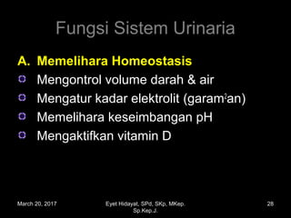 Fungsi Sistem Urinaria
A.A. Memelihara HomeostasisMemelihara Homeostasis
Mengontrol volume darah & air
Mengatur kadar elektrolit (garam2
an)
Memelihara keseimbangan pH
Mengaktifkan vitamin D
March 20, 2017 28Eyet Hidayat, SPd, SKp, MKep.
Sp.Kep.J.
 