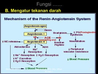 Fungsi ……
B.B. MengaturMengatur tekanan darahtekanan darah
(Prostaglandin)
(converting enz)
March 20, 2017 31Eyet Hidayat, SPd, SKp, MKep.
Sp.Kep.J.
 