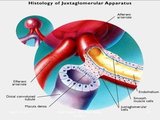 March 20, 2017 32Eyet Hidayat, SPd, SKp, MKep.
Sp.Kep.J.
 