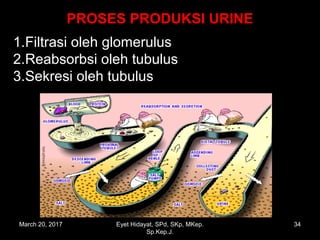 PROSES PRODUKSI URINEPROSES PRODUKSI URINE
1.Filtrasi oleh glomerulus
2.Reabsorbsi oleh tubulus
3.Sekresi oleh tubulus
March 20, 2017 34Eyet Hidayat, SPd, SKp, MKep.
Sp.Kep.J.
 
