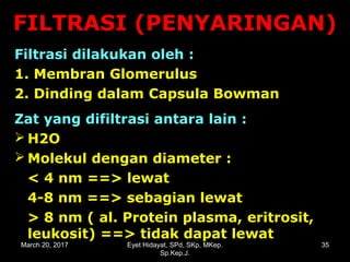 FILTRASI (PENYARINGAN)FILTRASI (PENYARINGAN)
Filtrasi dilakukan oleh :
1. Membran Glomerulus
2. Dinding dalam Capsula Bowman
Zat yang difiltrasi antara lain :
 H2O
 Molekul dengan diameter :
< 4 nm ==> lewat
4-8 nm ==> sebagian lewat
> 8 nm ( al. Protein plasma, eritrosit,
leukosit) ==> tidak dapat lewat
March 20, 2017 35Eyet Hidayat, SPd, SKp, MKep.
Sp.Kep.J.
 