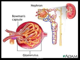 March 20, 2017 39Eyet Hidayat, SPd, SKp, MKep.
Sp.Kep.J.
 