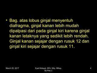 • Bag. atas lobus ginjal menyentuhBag. atas lobus ginjal menyentuh
diafragma, ginjal kanan lebih mudahdiafragma, ginjal kanan lebih mudah
dipalpasi dari pada ginjal kiri karenadipalpasi dari pada ginjal kiri karena ginjalginjal
kanankanan letaknya yang sedikit lebih rendah.letaknya yang sedikit lebih rendah.
Ginjal kanan sejajar dengan rusuk 12 danGinjal kanan sejajar dengan rusuk 12 dan
ginjal kiri sejajar dengan rusuk 11.ginjal kiri sejajar dengan rusuk 11.
March 20, 2017 4Eyet Hidayat, SPd, SKp, MKep.
Sp.Kep.J.
 