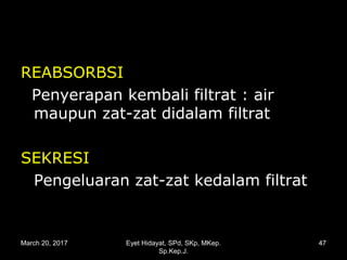 REABSORBSI
Penyerapan kembali filtrat : air
maupun zat-zat didalam filtrat
SEKRESI
Pengeluaran zat-zat kedalam filtrat
March 20, 2017 47Eyet Hidayat, SPd, SKp, MKep.
Sp.Kep.J.
 
