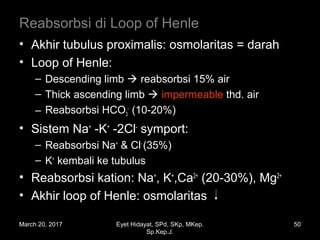 Reabsorbsi di Loop of Henle
• Akhir tubulus proximalis: osmolaritas = darah
• Loop of Henle:
– Descending limb  reabsorbsi 15% air
– Thick ascending limb  impermeable thd. air
– Reabsorbsi HCO3
-
(10-20%)
• Sistem Na+
-K+
-2Cl-
symport:
– Reabsorbsi Na+
& Cl-
(35%)
– K+
kembali ke tubulus
• Reabsorbsi kation: Na+
, K+
,Ca2+
(20-30%), Mg2+
• Akhir loop of Henle: osmolaritas
March 20, 2017 50Eyet Hidayat, SPd, SKp, MKep.
Sp.Kep.J.
 