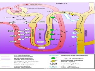 March 20, 2017 57Eyet Hidayat, SPd, SKp, MKep.
Sp.Kep.J.
 