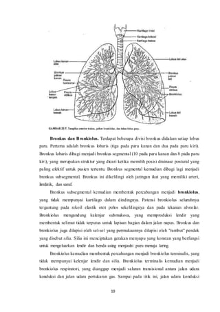10
Bronkus dan Bronkiolus. Terdapat beberapa divisi bronkus didalam setiap lobus
paru. Pertama adalah bronkus lobaris (tiga pada paru kanan dan dua pada paru kiri).
Bronkus lobaris dibagi menjadi bronkus segmental (10 pada paru kanan dan 8 pada paru
kiri), yang merupakan struktur yang dicari ketika memilih posisi drainase postural yang
paling efektif untuk pasien tertentu. Bronkus segmental kemudian dibagi lagi menjadi
bronkus subsegmental. Bronkus ini dikelilingi oleh jaringan ikat yang memiliki arteri,
limfatik, dan saraf.
Bronkus subsegmental kemudian membentuk percabangan menjadi bronkiolus,
yang tidak mempunyai kartilago dalam dindingnya. Patensi bronkiolus seluruhnya
tergantung pada rekoil elastik otot polos sekelilingnya dan pada tekanan alveolar.
Bronkiolus mengandung kelenjar submukosa, yang memproduksi lendir yang
membentuk selimut tidak terputus untuk lapisan bagian dalam jalan napas. Bronkus dan
bronkiolus juga dilapisi oleh sel-sel yang permukaannya dilapisi oleh "rambut" pendek
yang disebut silia. Silia ini menciptakan gerakan menyapu yang konstan yang berfungsi
untuk mengeluarkan lendir dan benda asing menjauhi paru menuju laring.
Bronkiolus kemudian membentuk percabangan menjadi bronkiolus terminalis, yang
tidak mempunyai kelenjar lendir dan silia. Bronkiolus terminalis kemudian menjadi
bronkiolus respiratori, yang dianggap menjadi saluran transisional antara jalan udara
konduksi dan jalan udara pertukaran gas. Sampai pada titik ini, jalan udara konduksi
 