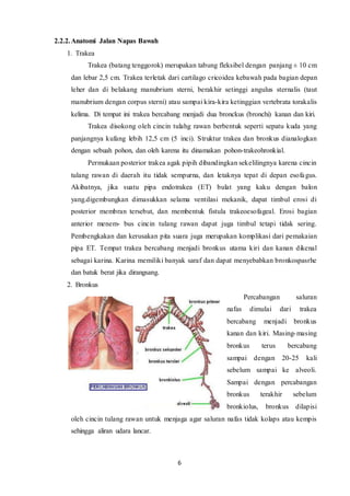 6
2.2.2.Anatomi Jalan Napas Bawah
1. Trakea
Trakea (batang tenggorok) merupakan tabung fleksibel dengan panjang ± 10 cm
dan lebar 2,5 cm. Trakea terletak dari cartilago cricoidea kebawah pada bagian depan
leher dan di belakang manubrium sterni, berakhir setinggi angulus sternalis (taut
manubrium dengan corpus sterni) atau sampai kira-kira ketinggian vertebrata torakalis
kelima. Di tempat ini trakea bercabang menjadi dua bronckus (bronchi) kanan dan kiri.
Trakea disokong oleh cincin tulahg rawan berbentuk seperti sepatu kuda yang
panjangnya kufang lebih 12,5 cm (5 inci). Struktur trakea dan bronkus dianalogkan
dengan sebuah pohon, dan oleh karena itu dinamakan pohon-trakeohronkial.
Permukaan posterior trakea agak pipih dibandingkan sekelilingnya karena cincin
tulang rawan di daerah itu tidak sempurna, dan letaknya tepat di depan esofagus.
Akibatnya, jika suatu pipa endotrakea (ET) bulat yang kaku dengan balon
yang.digembungkan dimasukkan selama ventilasi mekanik, dapat timbul erosi di
posterior membran tersebut, dan membentuk fistula trakeoesofageal. Erosi bagian
anterior menem- bus cincin tulang rawan dapat juga timbul tetapi tidak sering.
Pembengkakan dan kerusakan pita suara juga merupakan komplikasi dari pemakaian
pipa ET. Tempat trakea bercabang menjadi bronkus utama kiri dan kanan dikenal
sebagai karina. Karina memiliki banyak saraf dan dapat menyebabkan bronkospasrhe
dan batuk berat jika dirangsang.
2. Bronkus
Percabangan saluran
nafas dimulai dari trakea
bercabang menjadi bronkus
kanan dan kiri. Masing-masing
bronkus terus bercabang
sampai dengan 20-25 kali
sebelum sampai ke alveoli.
Sampai dengan percabangan
bronkus terakhir sebelum
bronkiolus, bronkus dilapisi
oleh cincin tulang rawan untuk menjaga agar saluran nafas tidak kolaps atau kempis
sehingga aliran udara lancar.
 