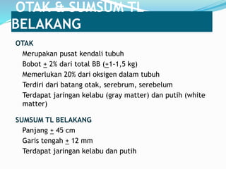 OTAK & SUMSUM TL
BELAKANG
OTAK
Merupakan pusat kendali tubuh
Bobot + 2% dari total BB (+1-1,5 kg)
Memerlukan 20% dari oksigen dalam tubuh
Terdiri dari batang otak, serebrum, serebelum
Terdapat jaringan kelabu (gray matter) dan putih (white
matter)
SUMSUM TL BELAKANG
Panjang + 45 cm
Garis tengah + 12 mm
Terdapat jaringan kelabu dan putih
 
