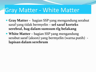 Gray Matter - White Matter
 Gray Matter – bagian SSP yang mengandung serabut
saraf yang tidak bermyelin – sel saraf korteks
serebral, bag dalam sumsum tlg belakang
 White Matter – bagian SSP yang mengandung
serabut saraf (akson) yang bermyelin (warna putih) -
lapisan dalam serebrum
 