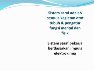 Sistem saraf adalah
pemula kegiatan otot
tubuh & pengatur
fungsi mental dan
fisik
Sistem saraf bekerja
berdasarkan impuls
elektrokimia
 