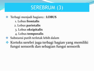  Terbagi menjadi bagian2 : LOBUS
1. Lobus frontalis
2. Lobus parietalis
3. Lobus oksipitalis
4. Lobus temporalis
 Substansi putih terletak lebih dalam
 Korteks serebri juga terbagi bagian yang memiliki
fungsi sensorik dan sebagian fungsi sensorik
SEREBRUM (3)
 