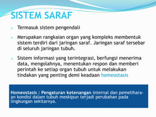 SISTEM SARAF
 Termasuk sistem pengendali
 Merupakan rangkaian organ yang kompleks membentuk
sistem terdiri dari jaringan saraf. Jaringan saraf tersebar
di seluruh jaringan tubuh.
 Sistem informasi yang terintegrasi, berfungsi menerima
data, mengolahnya, menentukan respon dan memberi
perintah ke setiap organ tubuh untuk melakukan
tindakan yang penting demi keadaan homeostasis
Homeostasis : Pengaturan ketenangan internal dan pemelihara-
an kondisi dalam tubuh meskipun terjadi perubahan pada
lingkungan sekitarnya.
 
