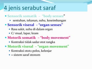4 jenis serabut saraf
 Sensorik somatik – “body senses”
 sentuhan, tekanan, suhu, keseimbangan
 Sensorik viseral – “organ senses”
 Rasa sakit, suhu di dalam organ
 C/ mual, lapar, kram
 Motorik somatik – “body movement”
 Kontraksi tidak sadar otot rangka
 Motorik viseral – “organ movement”
 Kontraksi otot2 polos, kelenjar
 = sistem saraf otonom
 