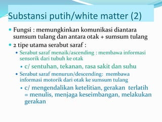 Substansi putih/white matter (2)
 Fungsi : memungkinkan komunikasi diantara
sumsum tulang dan antara otak + sumsum tulang
 2 tipe utama serabut saraf :
 Serabut saraf menaik/ascending : membawa informasi
sensorik dari tubuh ke otak
 c/ sentuhan, tekanan, rasa sakit dan suhu
 Serabut saraf menurun/descending: membawa
informasi motorik dari otak ke sumsum tulang
 c/ mengendalikan ketelitian, gerakan terlatih
= menulis, menjaga keseimbangan, melakukan
gerakan
 